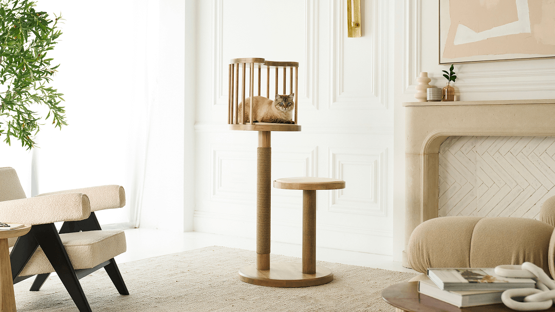 The Art of Cat Furniture Placement in Modern Interiors