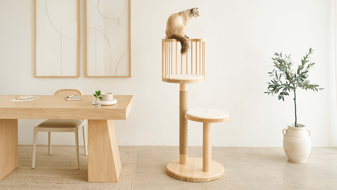 The Feline Aesthetic: How Cats Inspire Modern Design