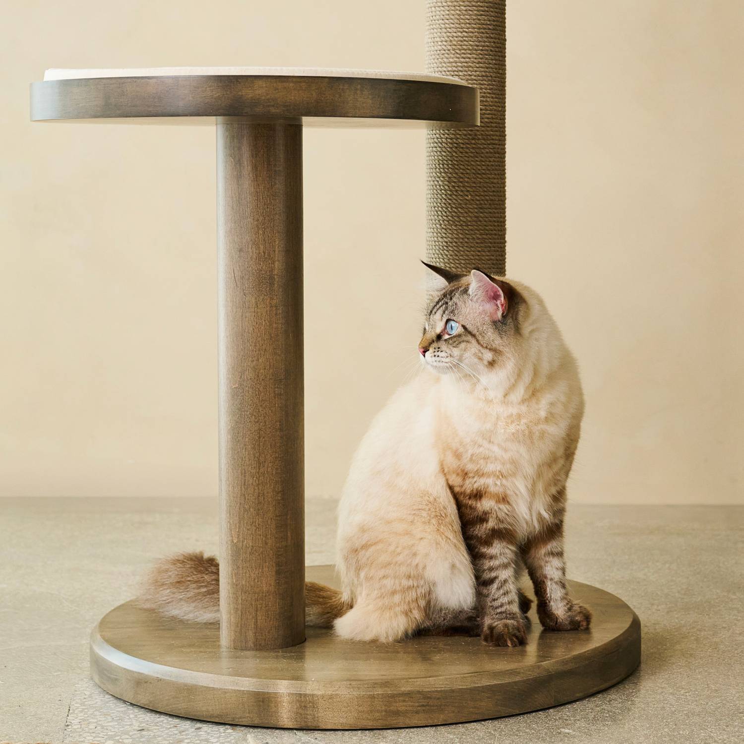 Sustainableluxurycover-opt