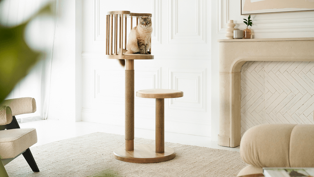 Designing with Cats in Mind: Cat Furniture Color Palettes for Modern Homes