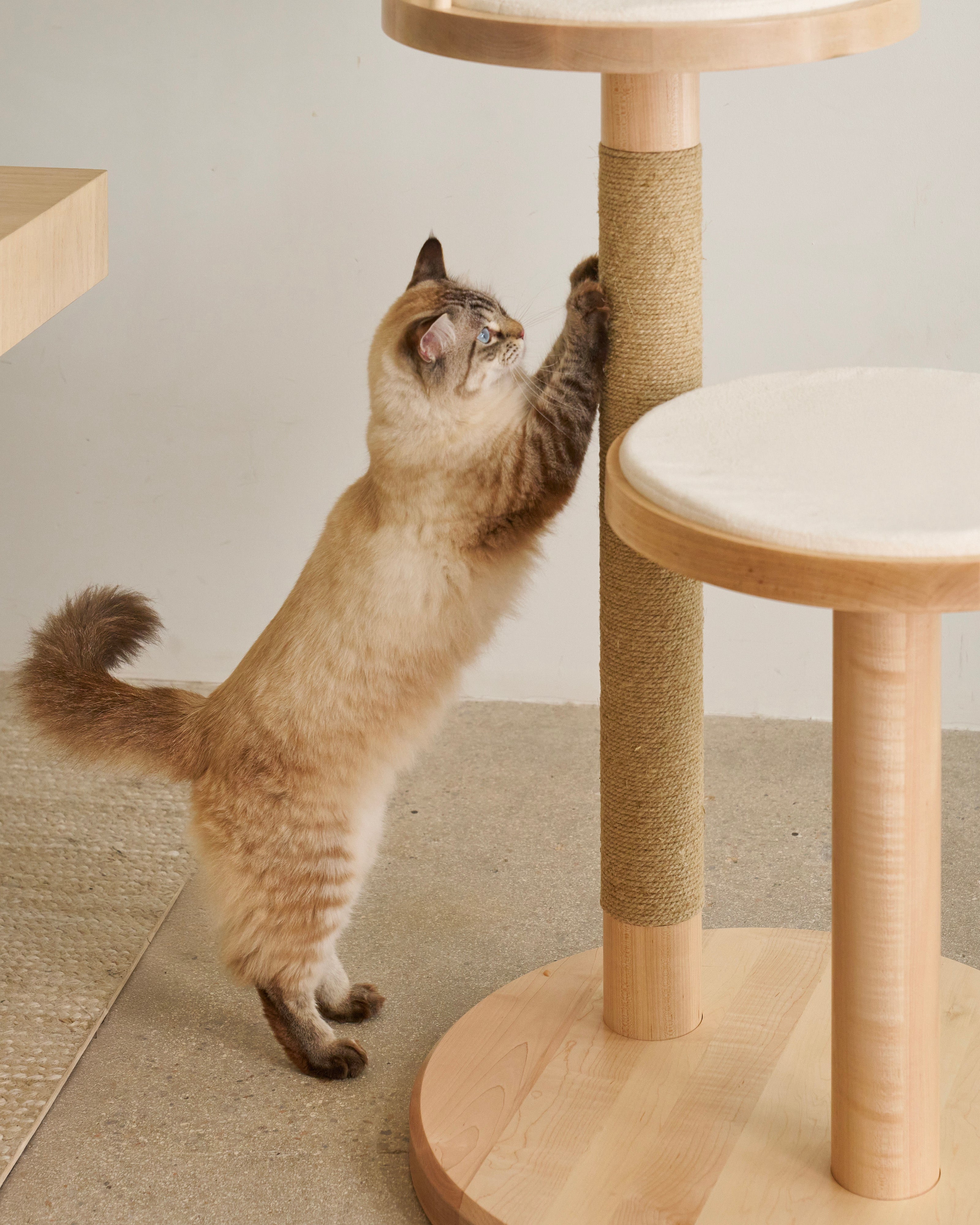 The Heritage Treehouse in Blonde Maple #wood finish_blonde maple 